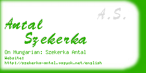 antal szekerka business card